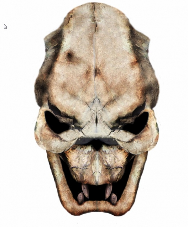 Creation of Skull: Step 11